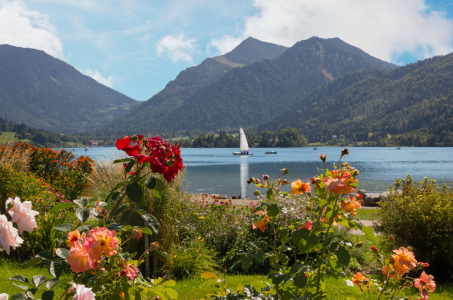 Bild-Nr: 11567184 Schliersee-Sommer Erstellt von: SusaZoom