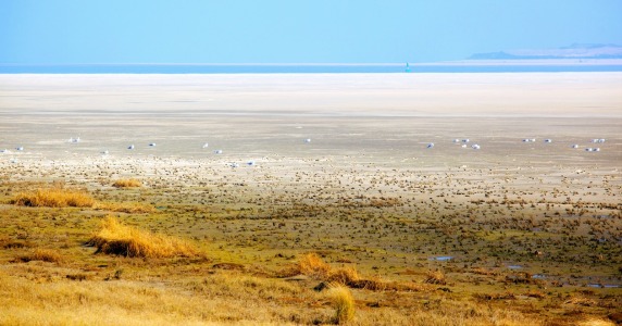 Bild-Nr: 11570698 Langeoog - Wattenmeer Erstellt von: wompus