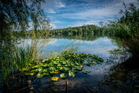 Bild-Nr: 11571780 Höhenfelder See Erstellt von: KundenNr-291254