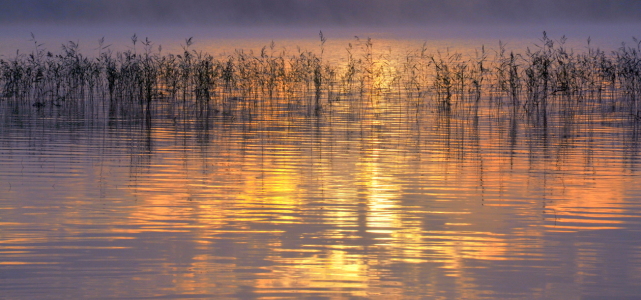 Bild-Nr: 11572198 mystic morning Erstellt von: GUGIGEI