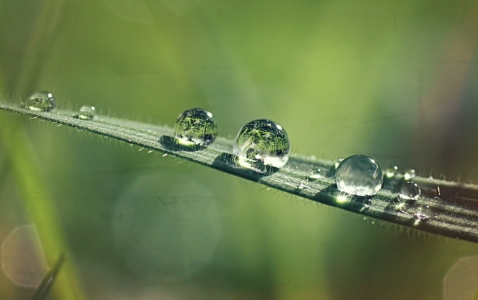 Bild-Nr: 11572402 Auf Regen folgt Sonne Erstellt von: youhaveadream