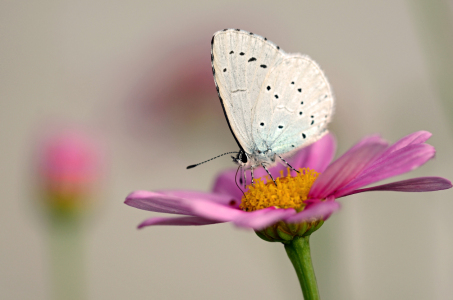 Bild-Nr: 11573444 Herbstidylle Erstellt von: Ostfriese