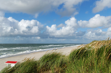 Bild-Nr: 11574378 Dünen, Wind und Wolken Erstellt von: Rolf Eschbach
