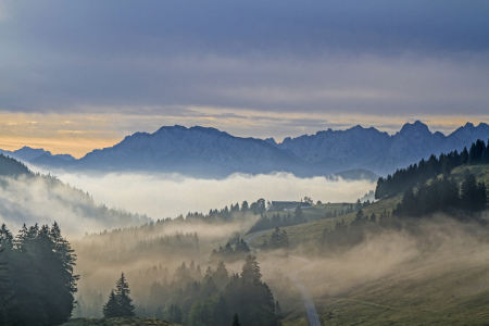 Bild-Nr: 11576398 Nebel vor Wildem Kaiser Erstellt von: EderHans