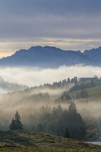 Bild-Nr: 11576678 Nebel vor Wildem Kaiser Erstellt von: EderHans