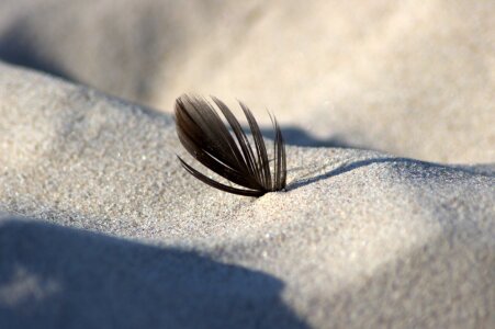 Bild-Nr: 11577686 Leichtigkeit Erstellt von: JSchartmann