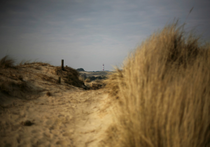 Bild-Nr: 11578414 Amrumer Leuchtturm im Winter mit Düne Erstellt von: Ingaloo