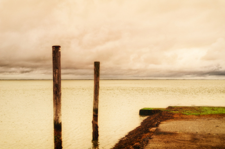 Bild-Nr: 11579266 Morgenlicht am Wattenmeer Erstellt von: Rolf Eschbach