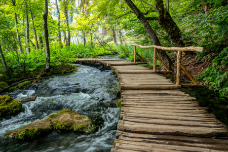 Bild-Nr: 11579914 Holzbrücke Erstellt von: TomKli