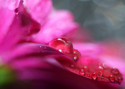 Bild-Nr: 11580340 Blütenzauber im Regen Erstellt von: youhaveadream