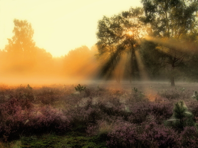 Bild-Nr: 11580528 Morgensonne Erstellt von: Uwe Minuth