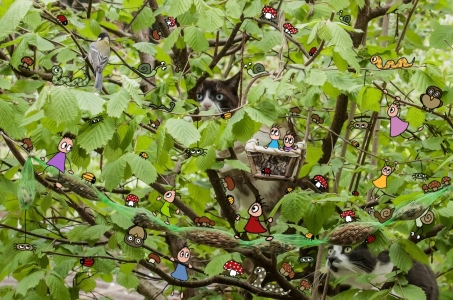 Bild-Nr: 11581222 Wildes Pankie-Leben im Haselnussbaum Erstellt von: Heike Langenkamp