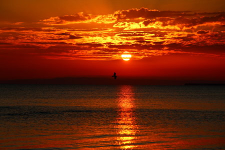 Bild-Nr: 11581524 Sonnenaufgang am Meer Erstellt von: Heike  Hultsch