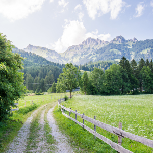 Bild-Nr: 11581826 Auf meinem Weg zu den Alpen Erstellt von: hannes cmarits