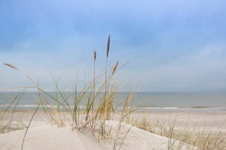 Bild-Nr: 11585550 Am Strand Erstellt von: Daniela Galés