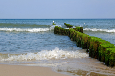 Bild-Nr: 11585572 Strandschutz Erstellt von: Ostfriese