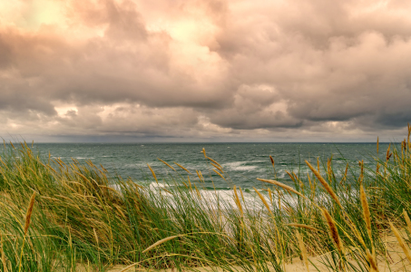 Bild-Nr: 11585914 Colorful Sea Erstellt von: Rolf Eschbach