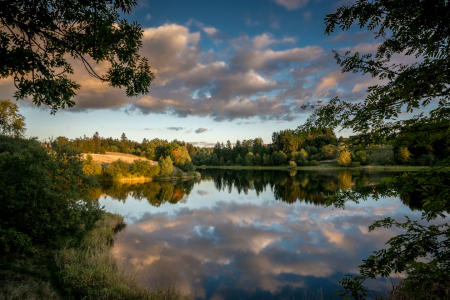 Bild-Nr: 11586354 Harzteich Erstellt von: Steffen Henze