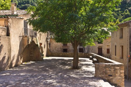 Bild-Nr: 11587184 Platz mit Baum in Saint Guilhem le Désert  Erstellt von: Anja Schäfer