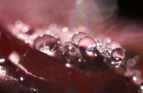 Bild-Nr: 11587722 Twinkling rain Erstellt von: youhaveadream