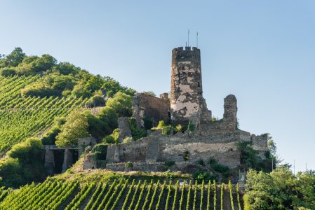 Bild-Nr: 11587868 Burgruine Fürstenberg 61 Erstellt von: Erhard Hess