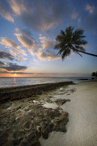 Bild-Nr: 11589310  Tropischer Strand bei Sonnenuntergang Erstellt von: KundenNr-294234