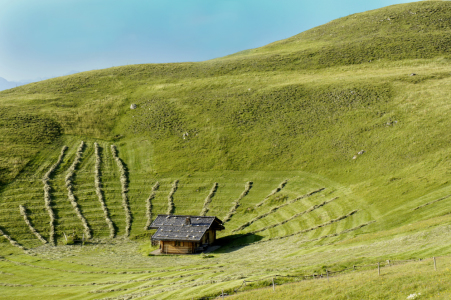 Bild-Nr: 11591896 Auf der Alm in Südtirol Erstellt von: MartinaW