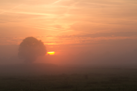 Bild-Nr: 11592234 Herbstmorgen Erstellt von: Dimo Tabken