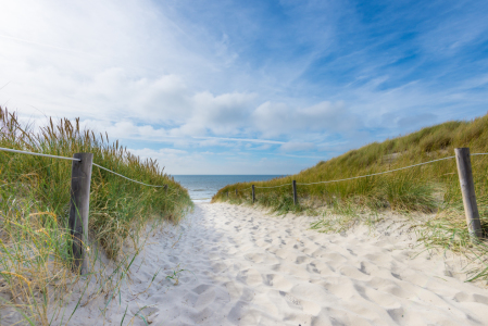 Bild-Nr: 11592562 Auf dem Weg zum Meer Erstellt von: hannes cmarits