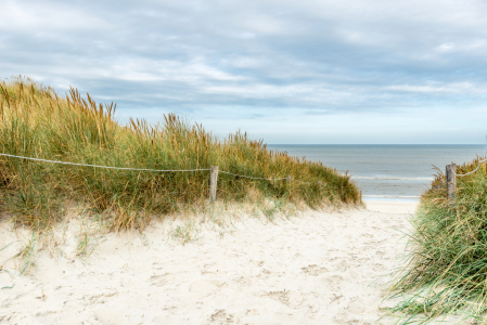 Bild-Nr: 11592592 Hinter den Dünen ist das Meer Erstellt von: hannes cmarits