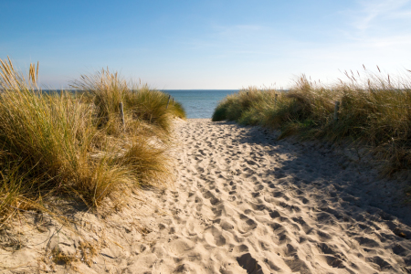 Bild-Nr: 11592993 Strandweg auf Rügen Erstellt von: Reiner Würz