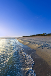 Bild-Nr: 11594572 Ostseestrand in der Morgensonne Erstellt von: ReichderNatur