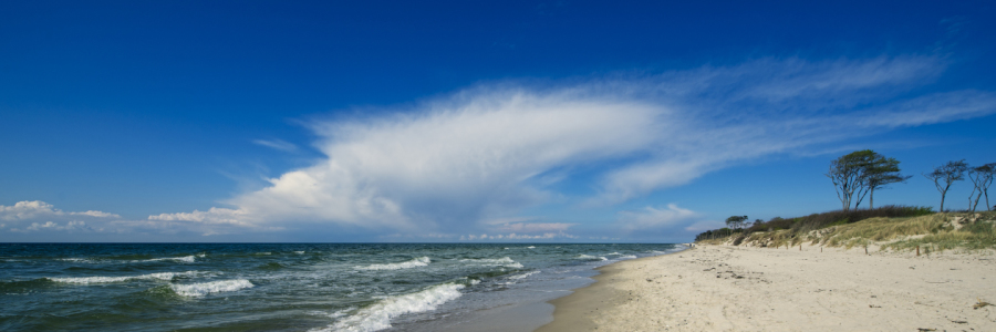 Bild-Nr: 11594578 Weststrand - Darß | Ostsee Panorama Erstellt von: ReichderNatur