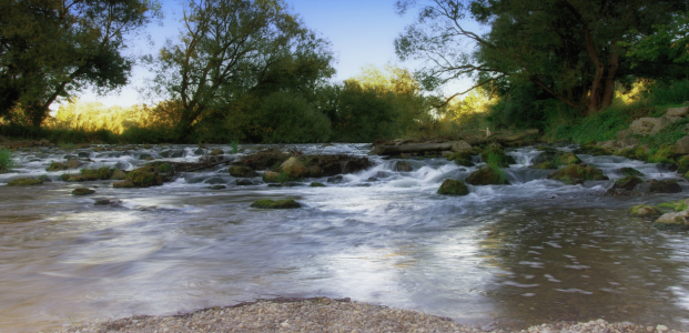 Bild-Nr: 11596468 Am Fluss Erstellt von: Tanja Riedel