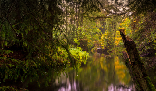 Bild-Nr: 11597524 Herbst im Harz Erstellt von: Steffen Henze
