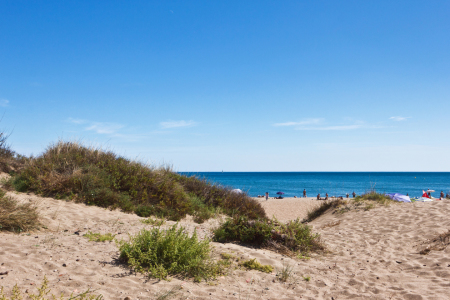 Bild-Nr: 11597528 Serignan Plage Erstellt von: Anja Schäfer