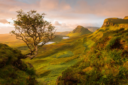 Bild-Nr: 11598476 The Quiraing, Skye, Schottland Erstellt von: orxy