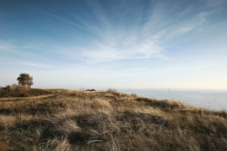 Bild-Nr: 11599164 Herbst am Meer Erstellt von: Ursula Reins