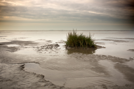 Bild-Nr: 11599516 Wattenmeer Erstellt von: Pixelkunst