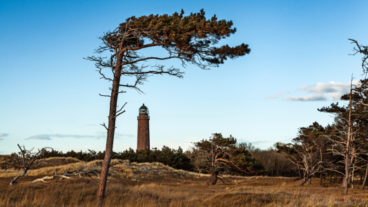 Bild-Nr: 11599826 Leuchtturm Erstellt von: MeckP65