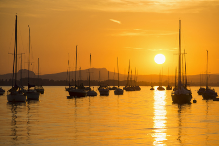 Bild-Nr: 11600186 Bodensee Erstellt von: danielschoenen