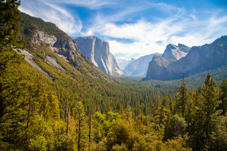 Bild-Nr: 11602018 Yosemite Nationalpark, USA Erstellt von: janschuler