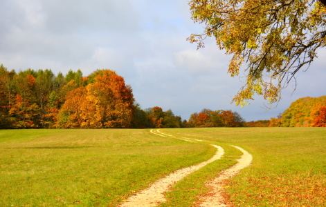 Bild-Nr: 11604687 Weg in den Herbst Erstellt von: GUGIGEI