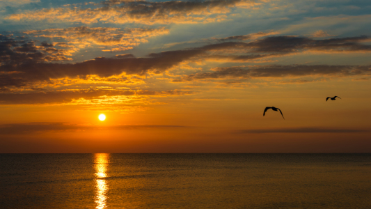 Bild-Nr: 11607307 Ostsee bei Sonnenaufgang Erstellt von: UweGrosenick