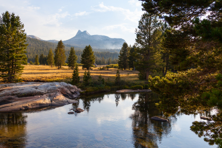 Bild-Nr: 11607409 Tuolumne Meadows, Yosemite Nationalpark, USA Erstellt von: janschuler