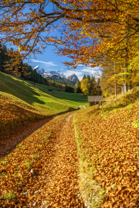 Bild-Nr: 11607473 Herbst in Bayern Erstellt von: Achim Thomae