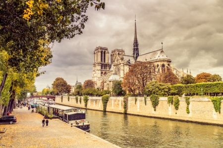 Bild-Nr: 11608089 Paris Notre-Dame Erstellt von: euregiophoto