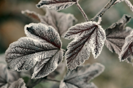 Bild-Nr: 11608691 Winterankündigung Erstellt von: Ostfriese