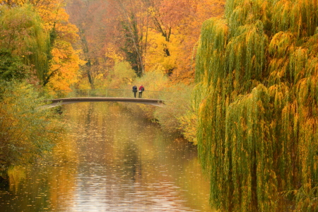 Bild-Nr: 11610359 Herbst-Melancholie Erstellt von: GUGIGEI