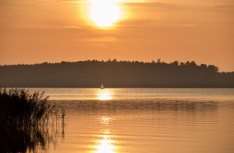 Bild-Nr: 11610443 Goldener See Erstellt von: Nordbilder